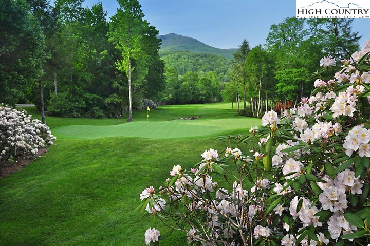 Image number 8 for the current listing