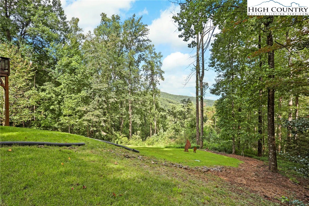 Image number 12 for the current listing