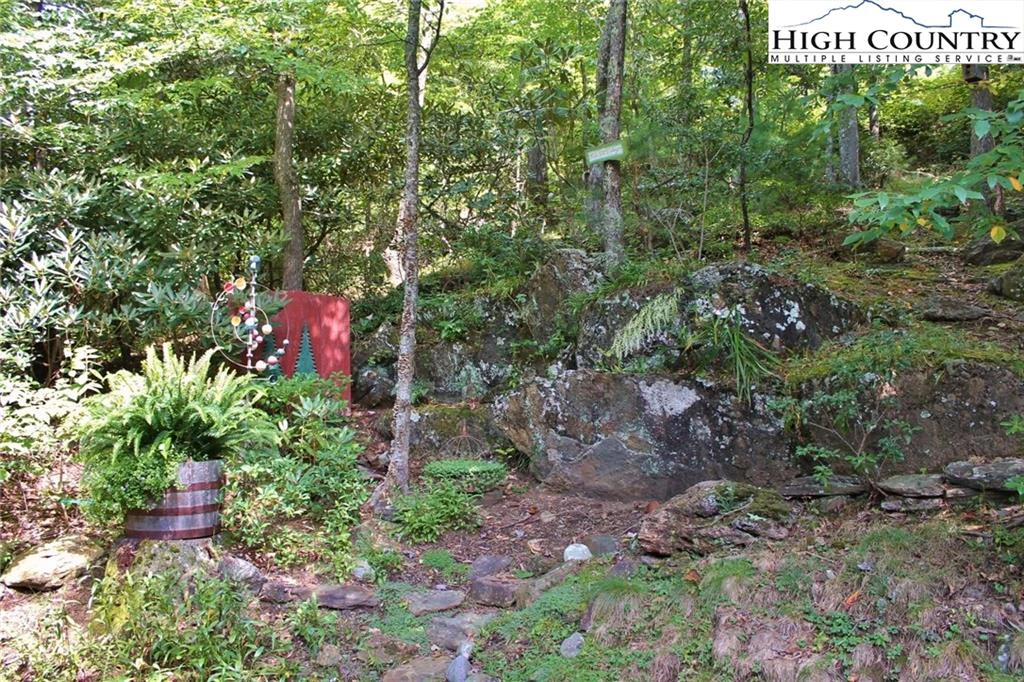 Image number 17 for the current listing