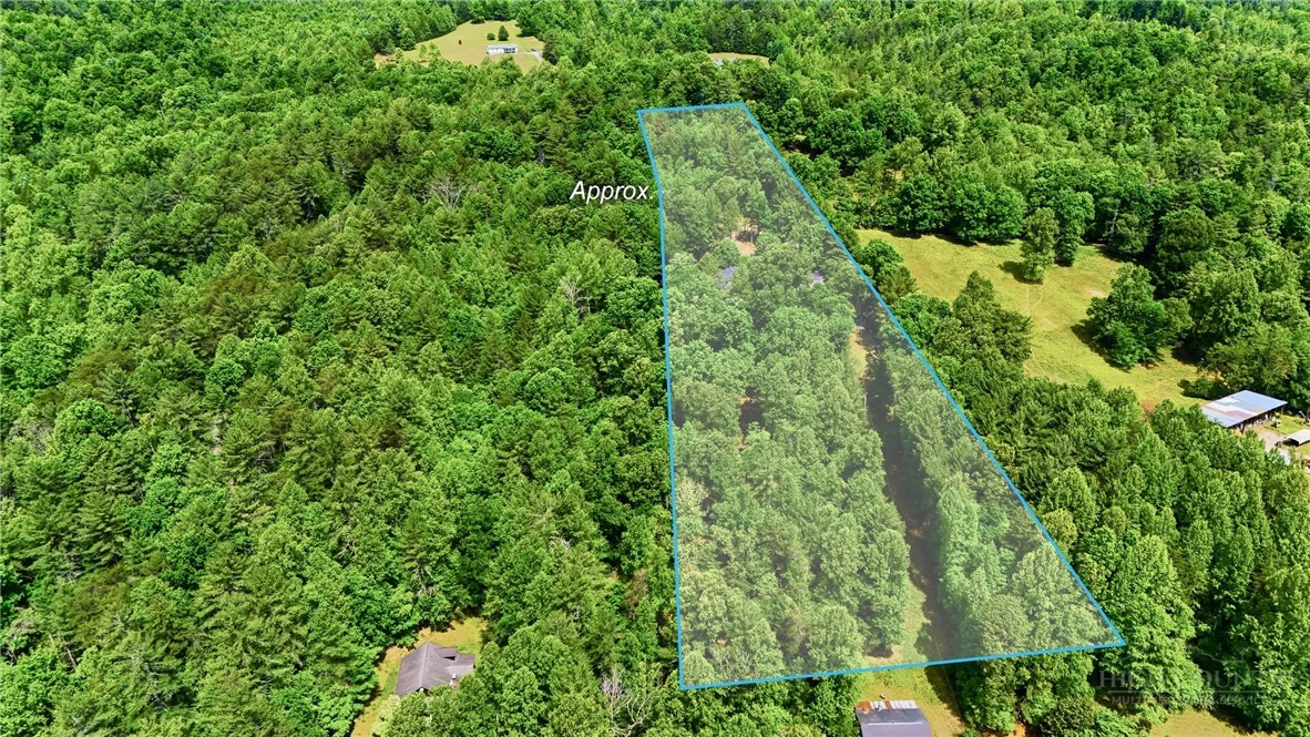 Image number 21 for the current listing