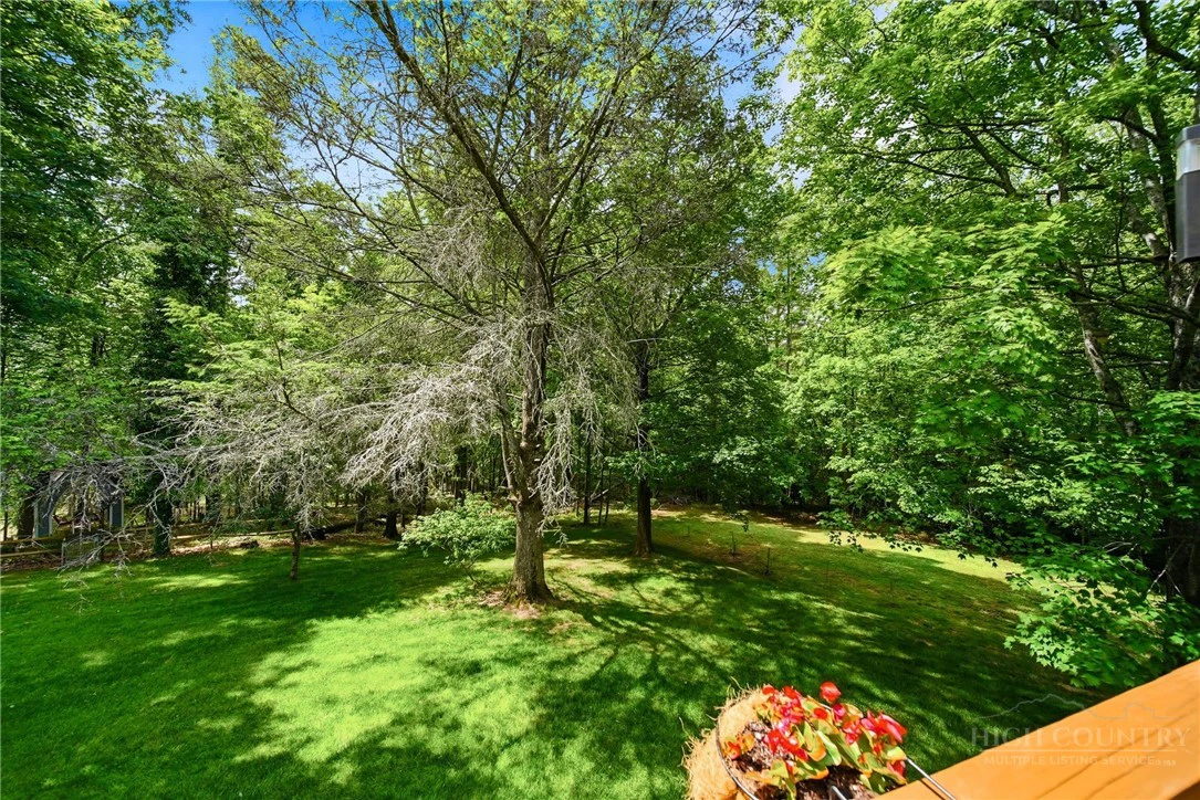 Image number 6 for the current listing