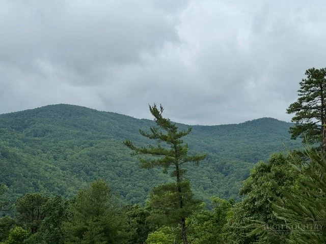 Image number 1 for the current listing