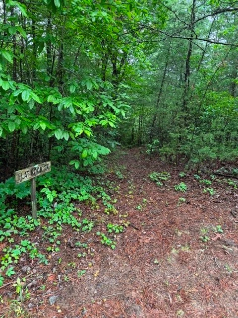Image number 5 for the current listing