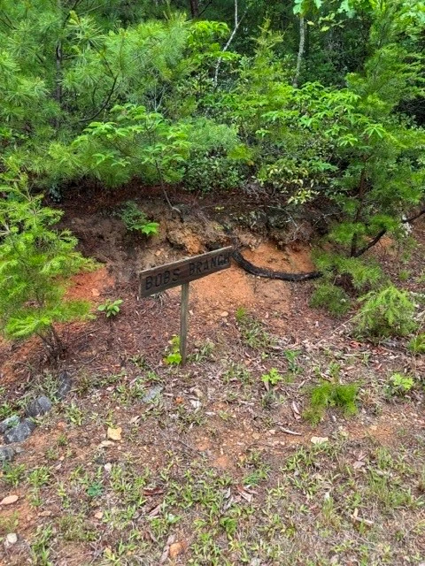 Image number 8 for the current listing