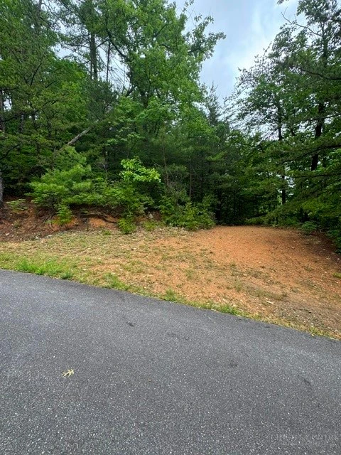 Image number 9 for the current listing