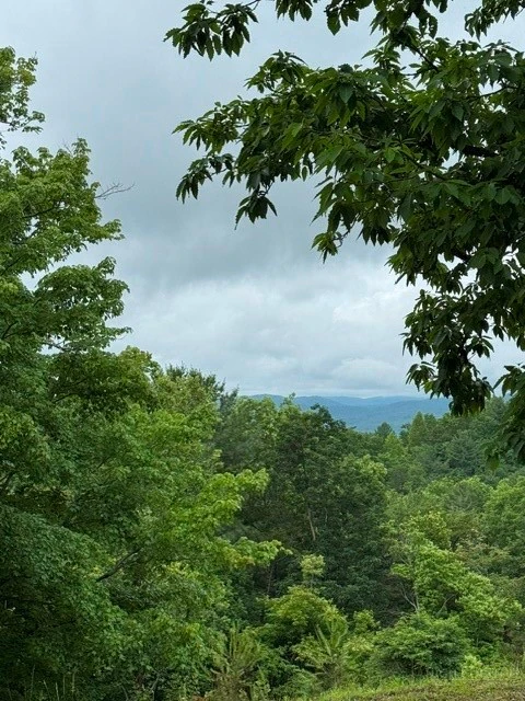 Image number 11 for the current listing