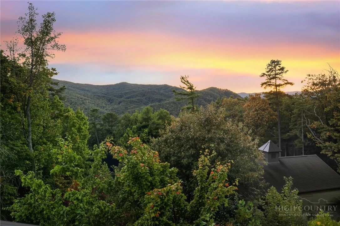 Image number 12 for the current listing