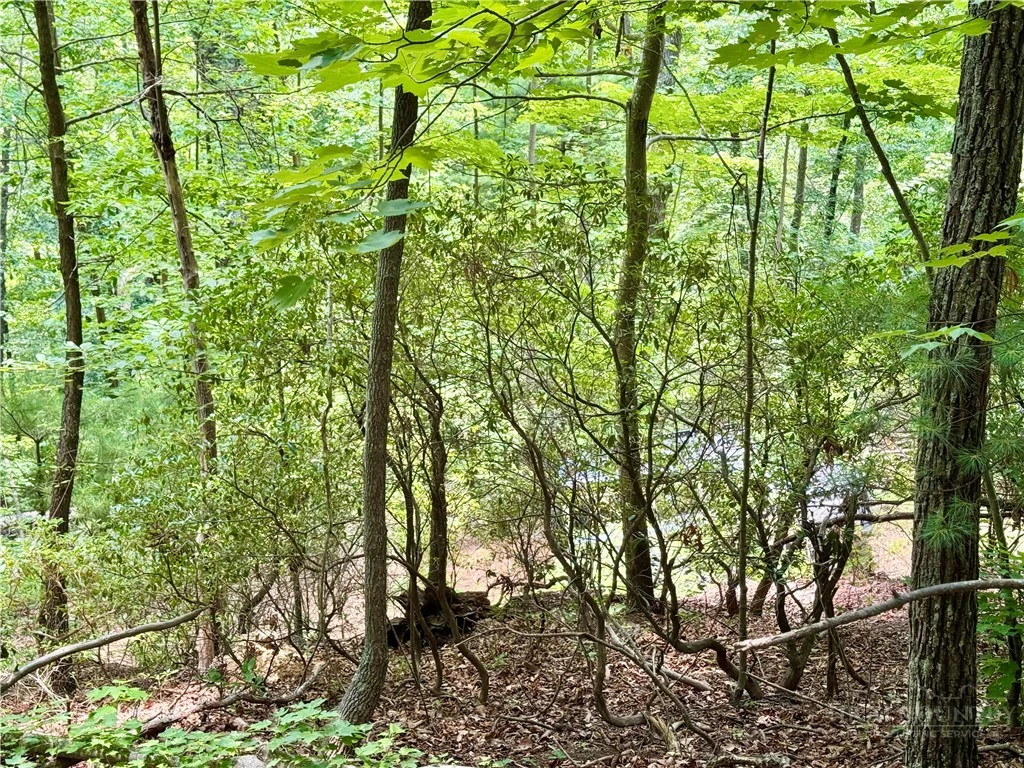Image number 2 for the current listing