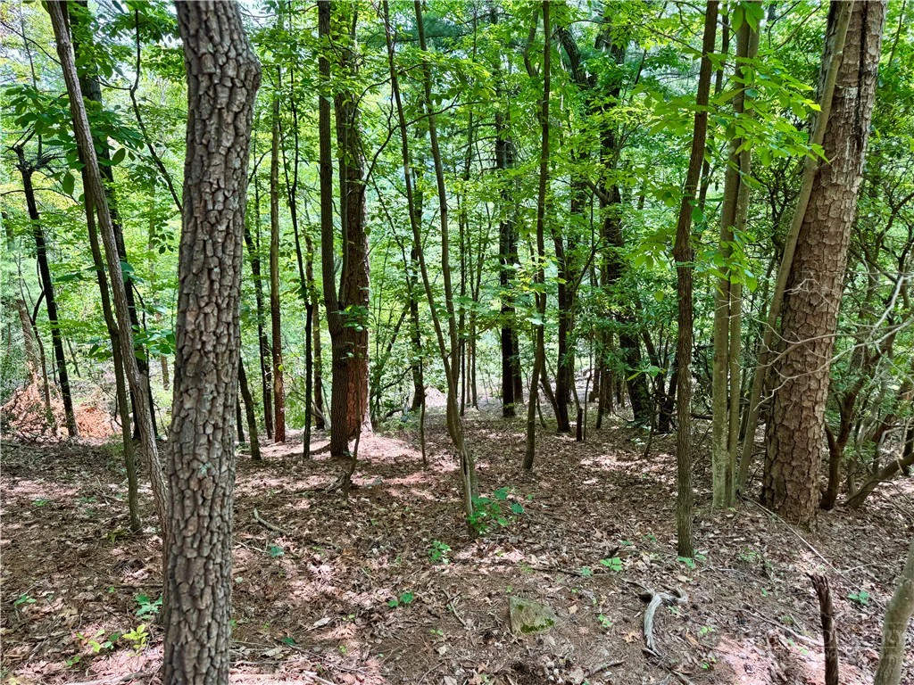 Image number 5 for the current listing