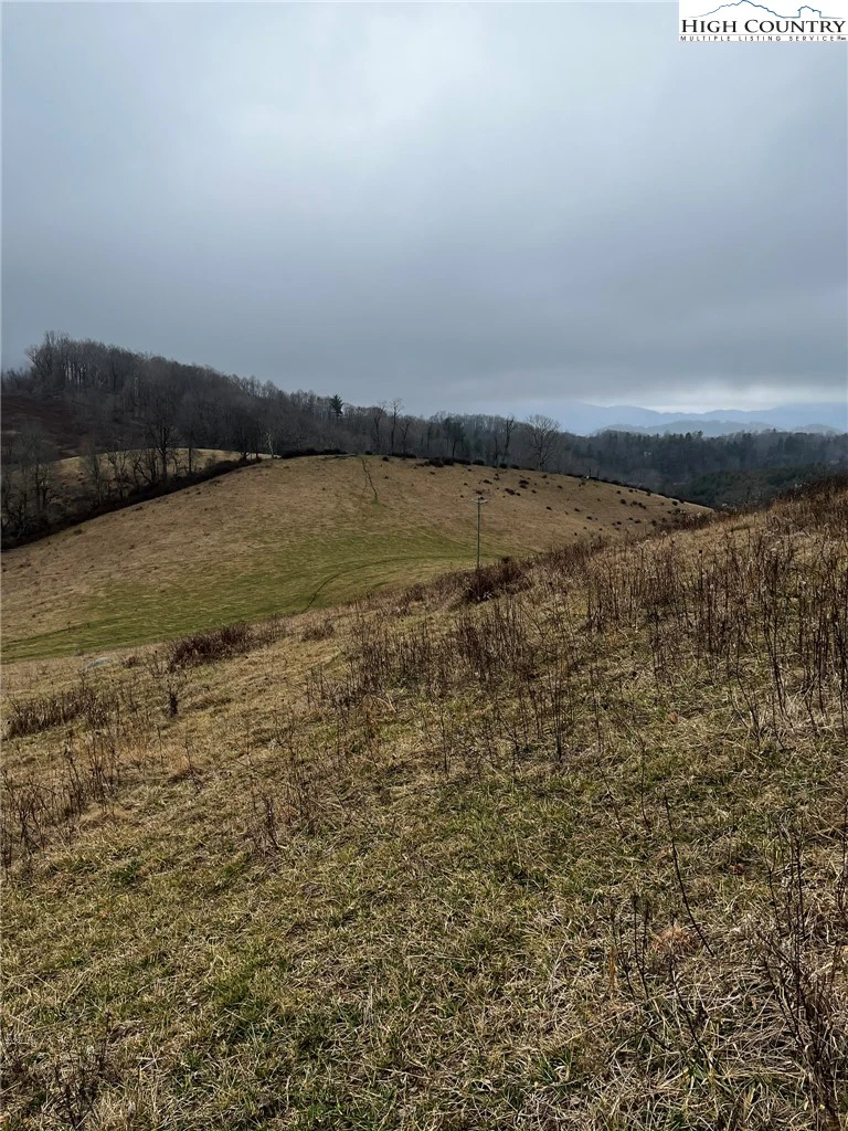 Image number 6 for the current listing
