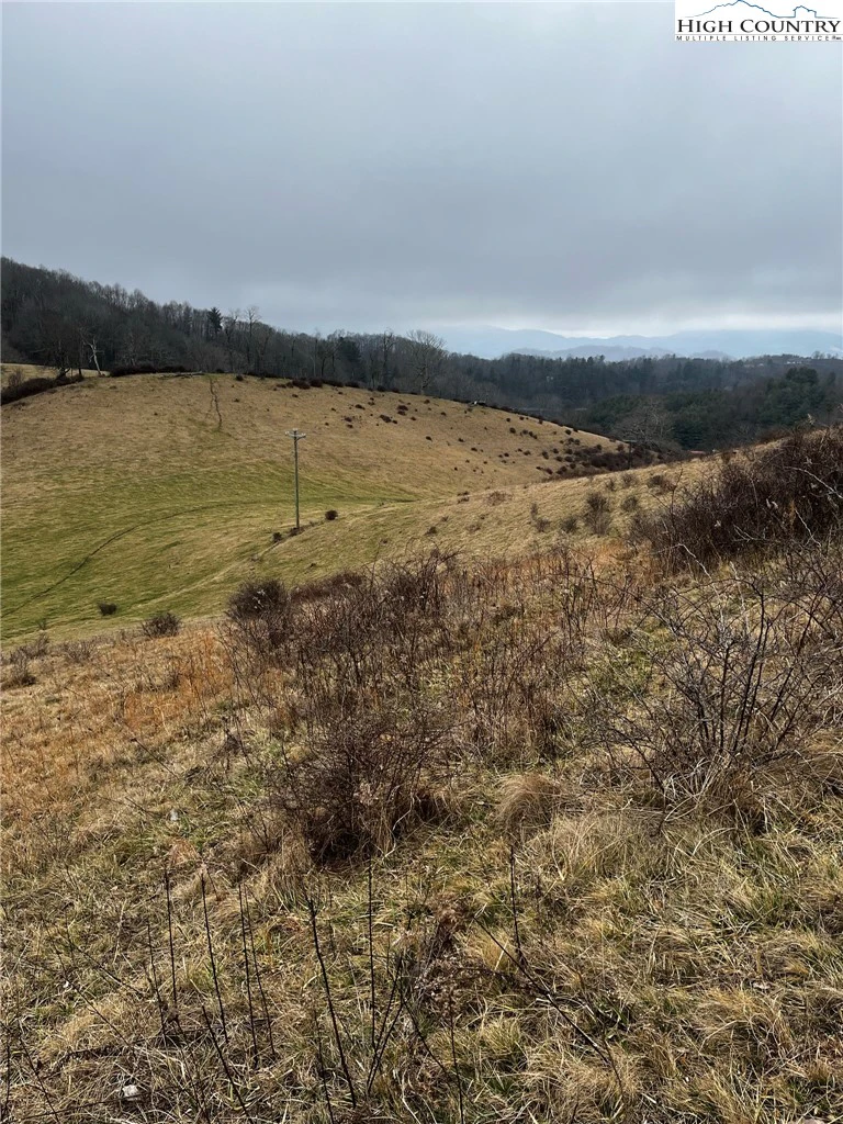 Image number 12 for the current listing