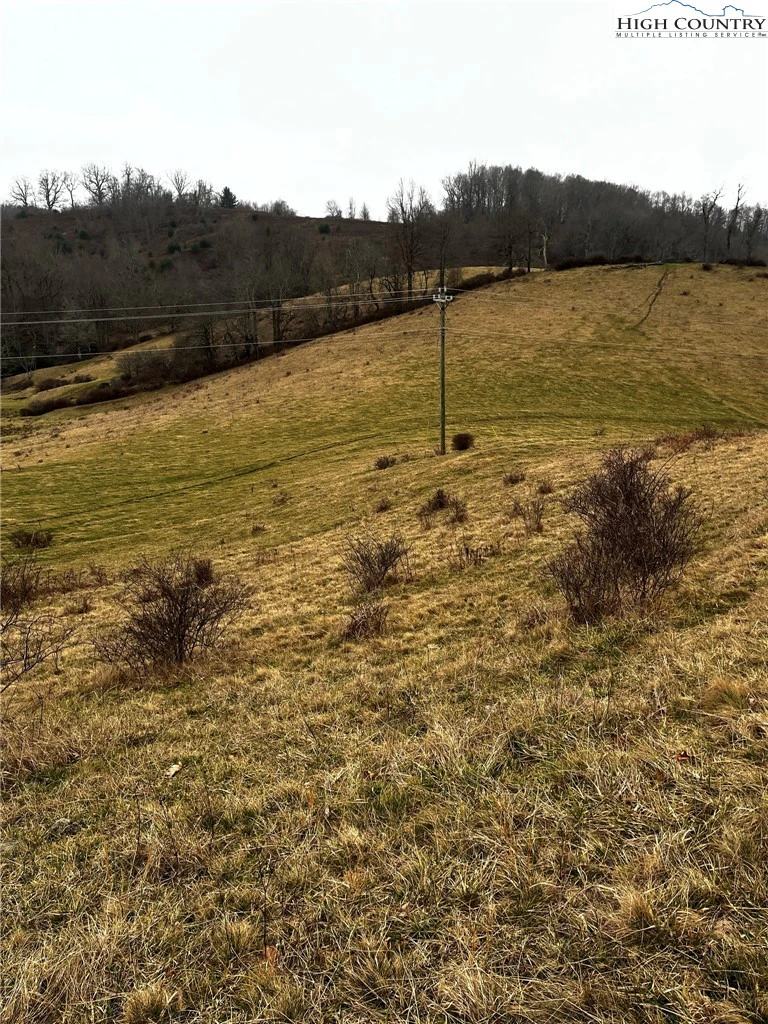 Image number 2 for the current listing