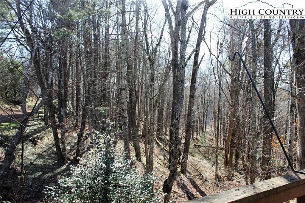 Image number 4 for the current listing