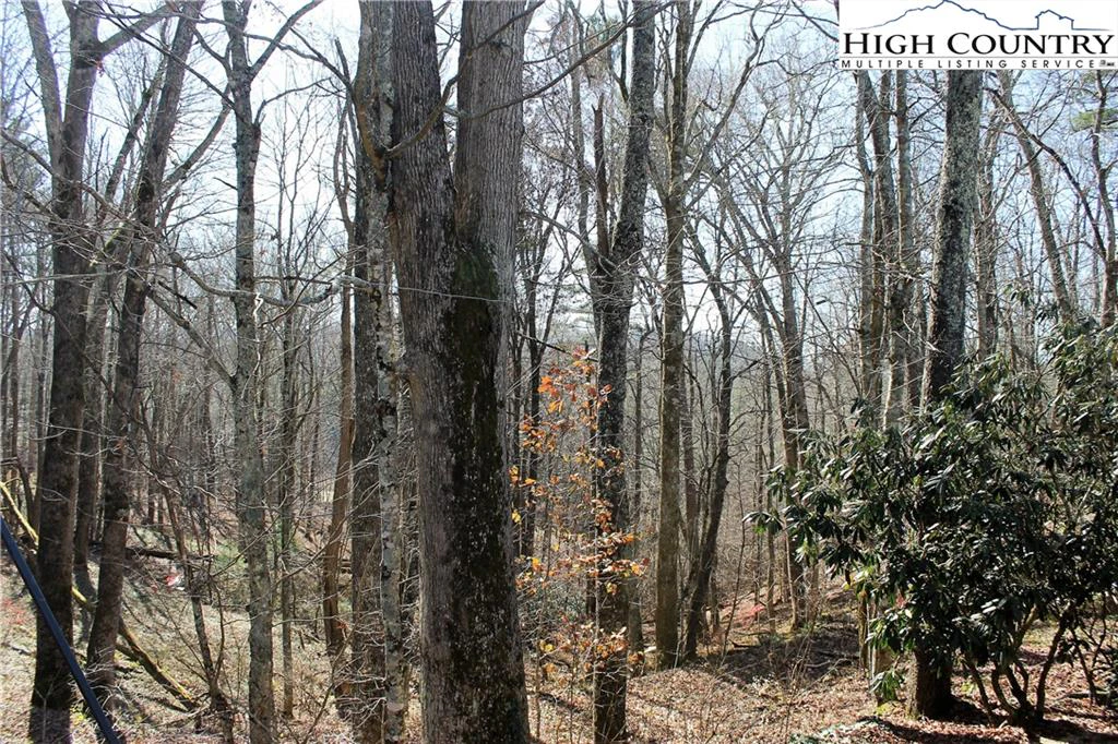Image number 3 for the current listing