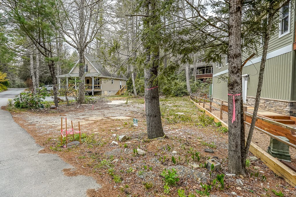 Image number 1 for the current listing