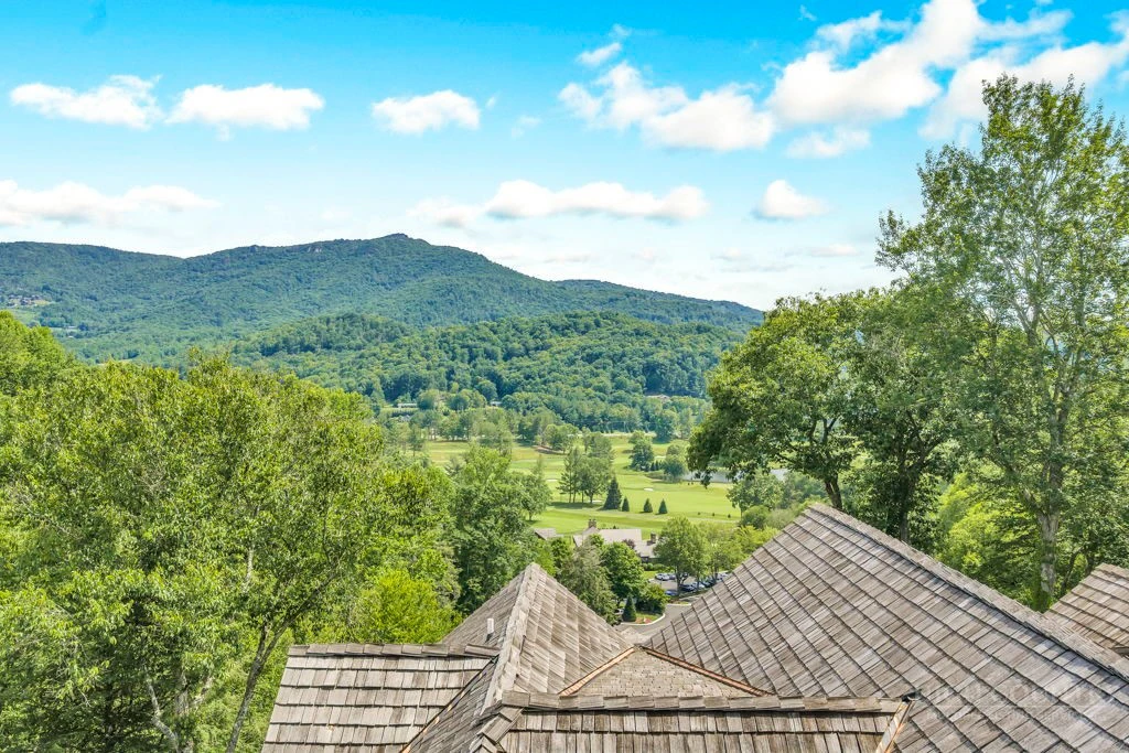 Image number 3 for the current listing