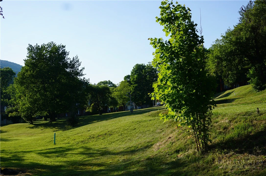 Image number 2 for the current listing