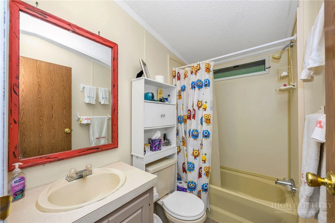 Image number 11 for the current listing