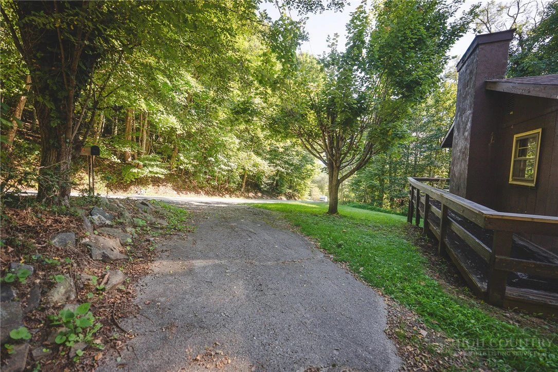 Image number 4 for the current listing
