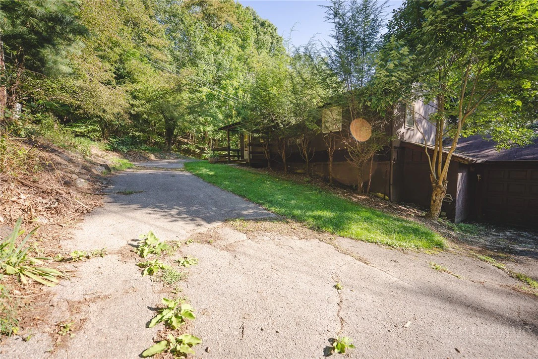 Image number 7 for the current listing