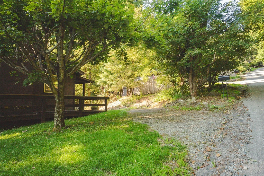 Image number 14 for the current listing