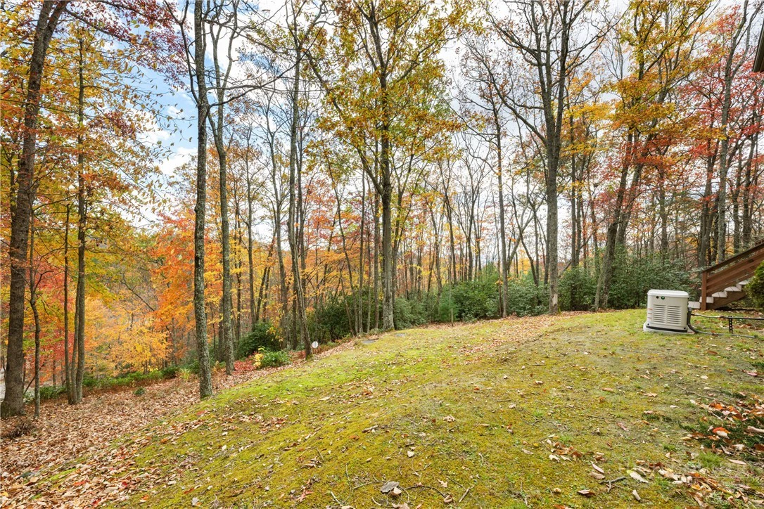 Image number 17 for the current listing
