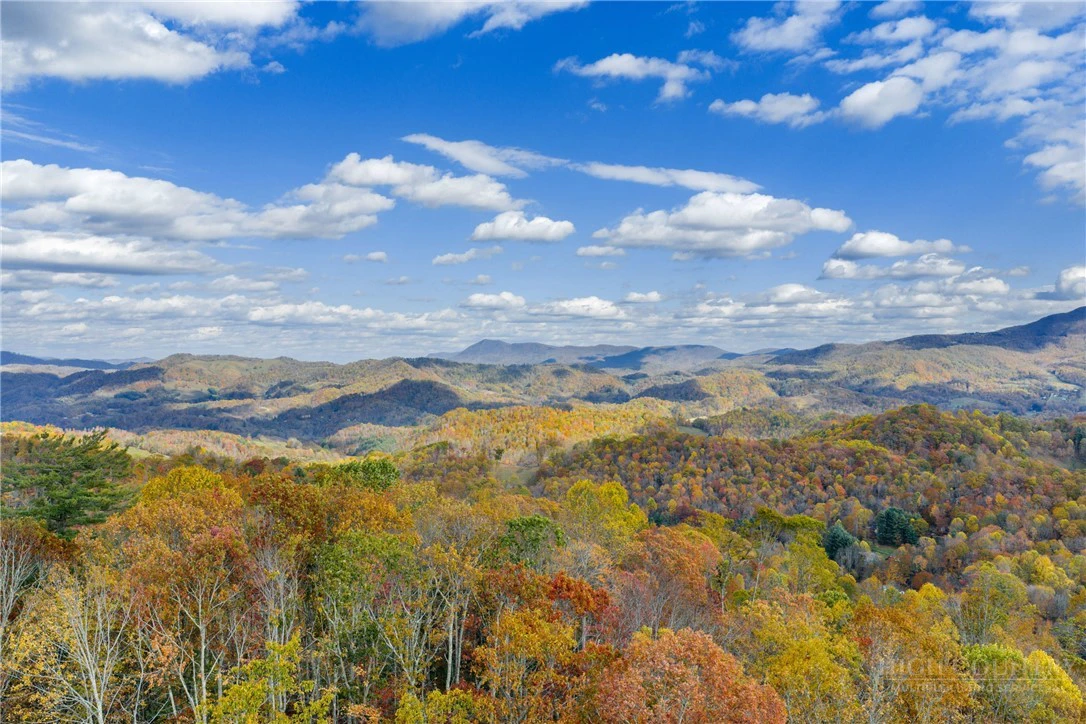 Image number 19 for the current listing