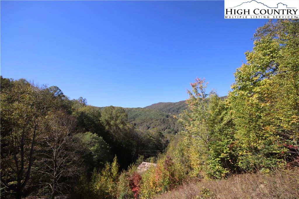 Image number 1 for the current listing