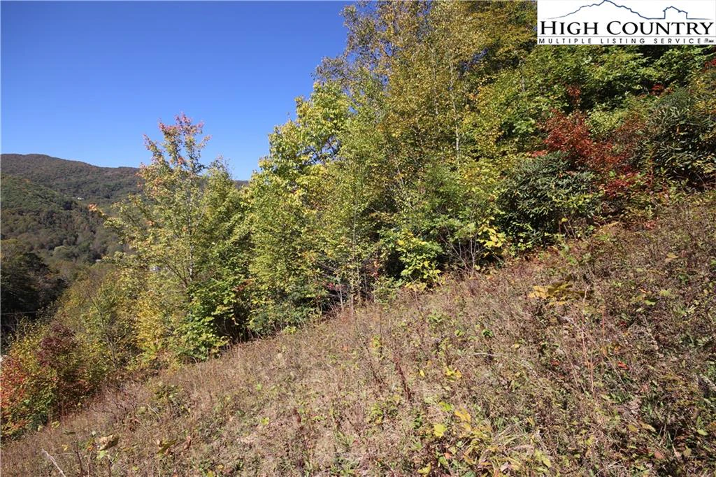 Image number 11 for the current listing