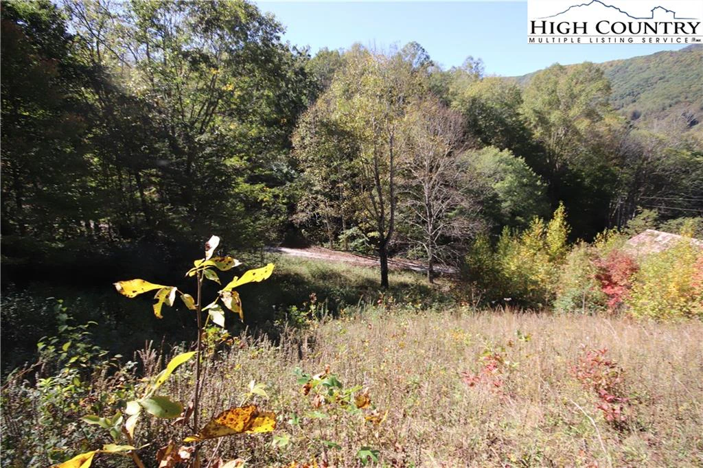 Image number 12 for the current listing