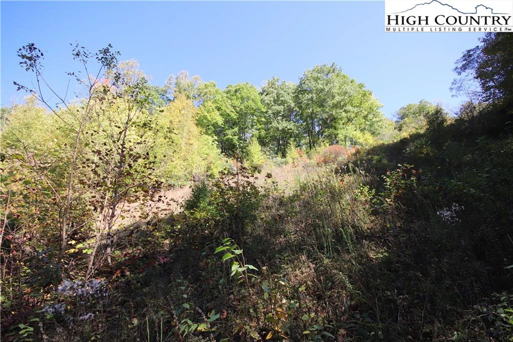 Image number 13 for the current listing