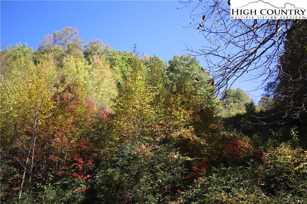 Image number 14 for the current listing
