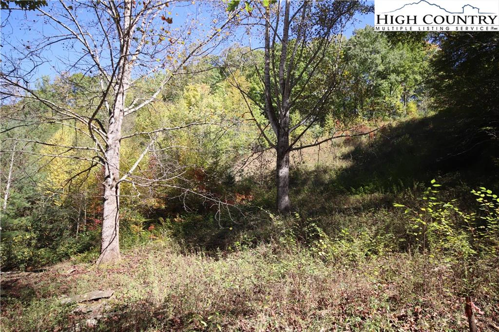 Image number 15 for the current listing