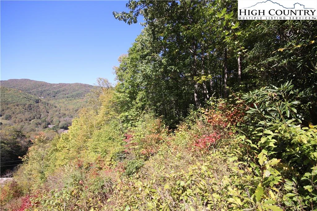 Image number 4 for the current listing