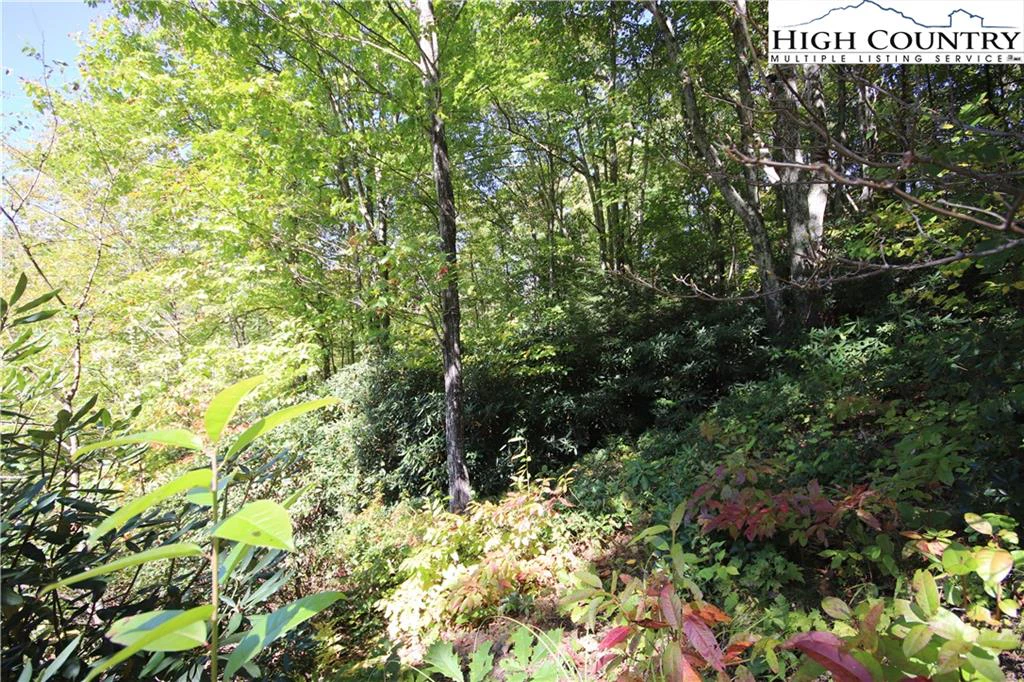 Image number 5 for the current listing