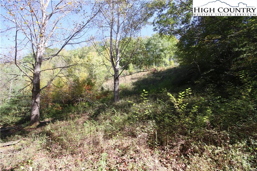Image number 6 for the current listing