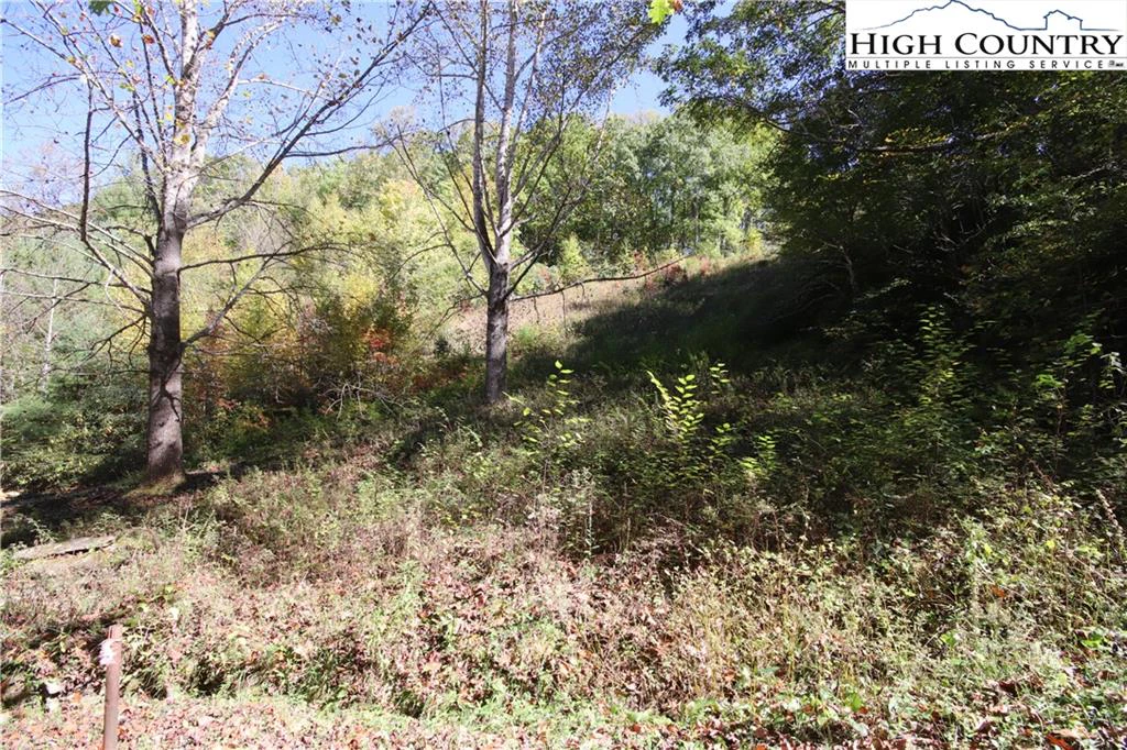 Image number 7 for the current listing
