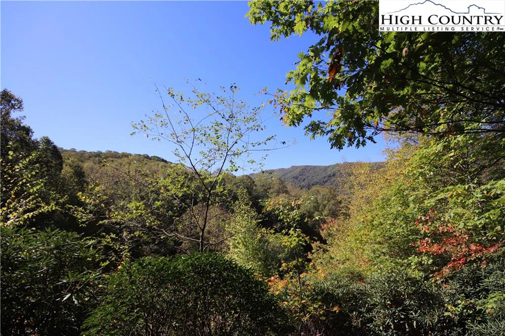 Image number 8 for the current listing