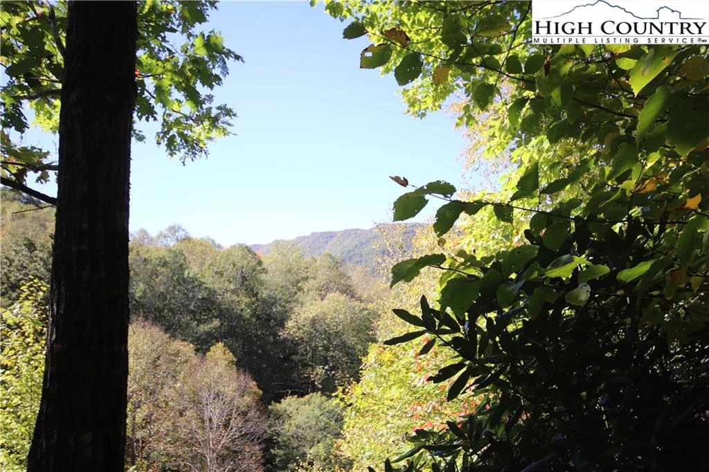 Image number 10 for the current listing