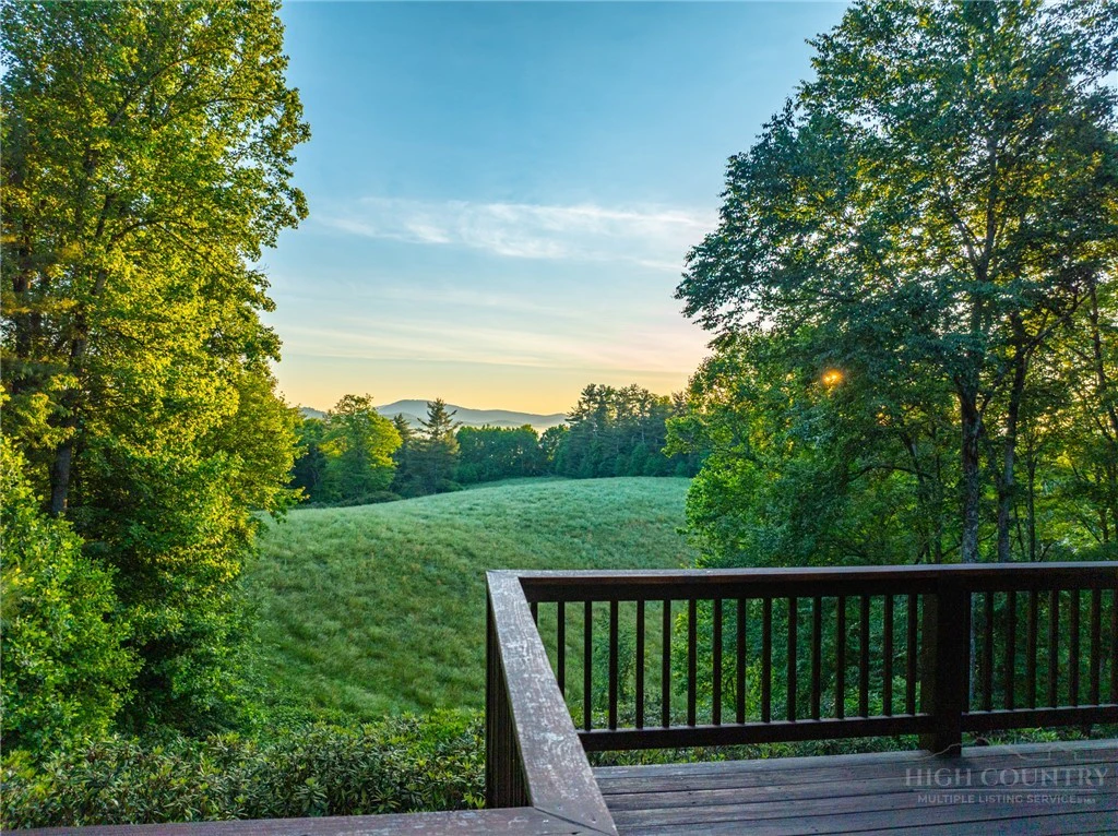 Image number 5 for the current listing