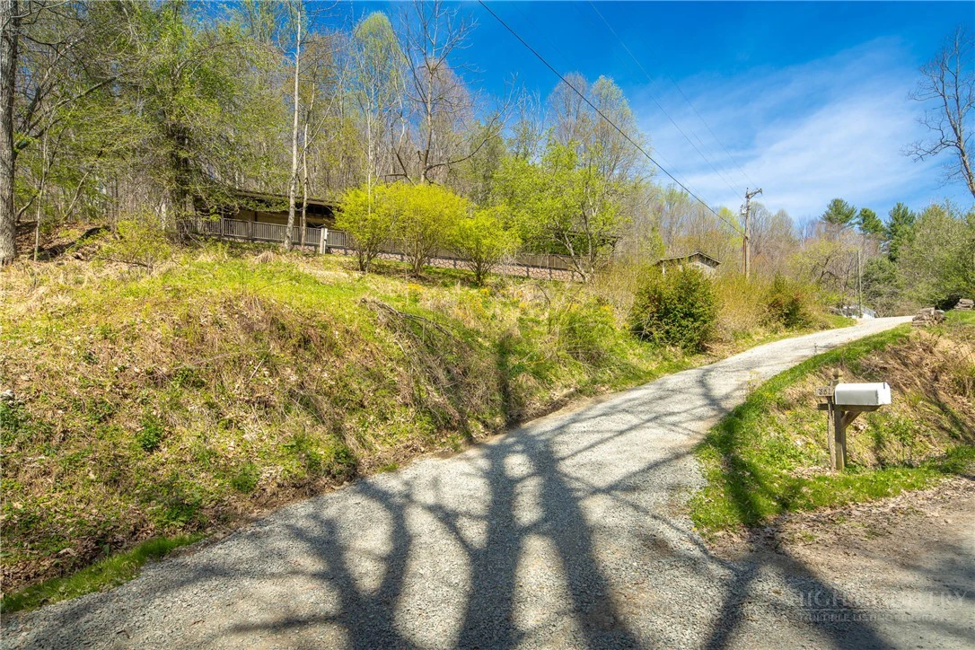 Image number 11 for the current listing