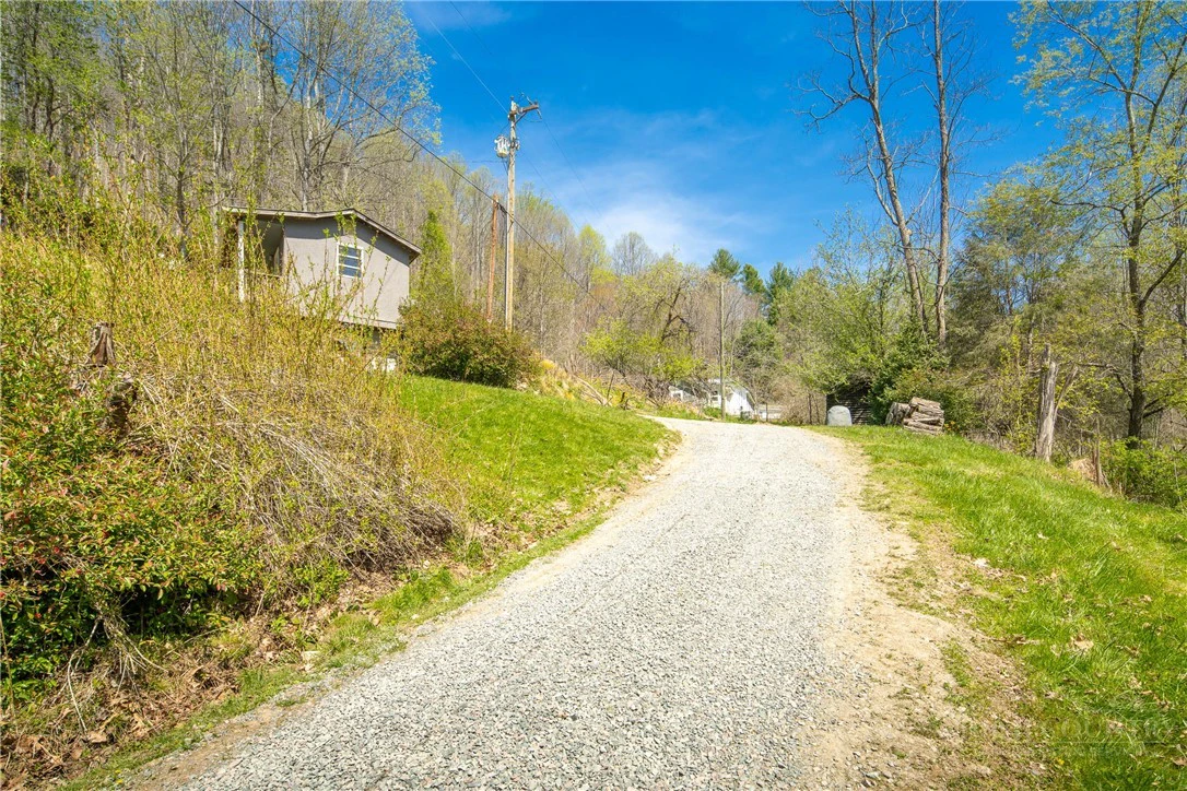Image number 13 for the current listing