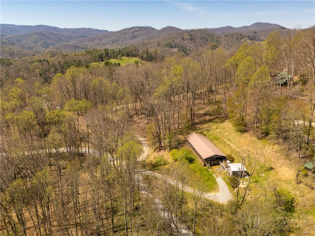 Image number 1 for the current listing