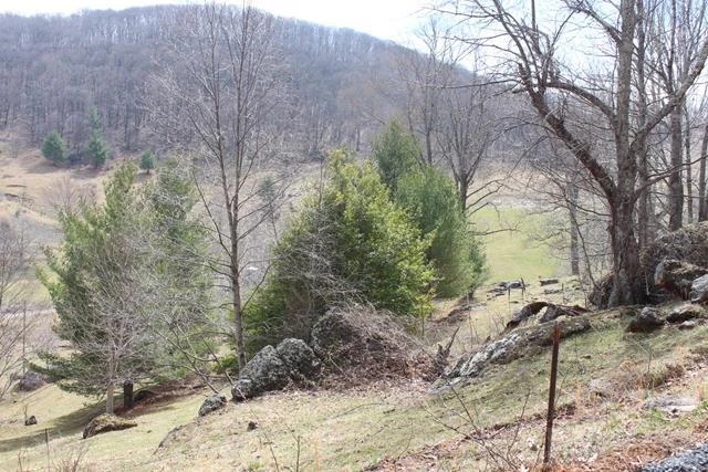 Image number 3 for the current listing