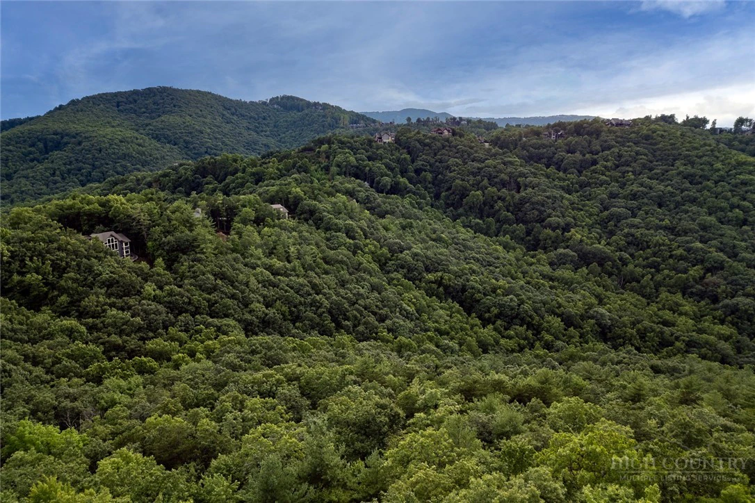 Image number 4 for the current listing