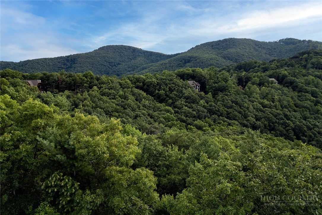 Image number 5 for the current listing