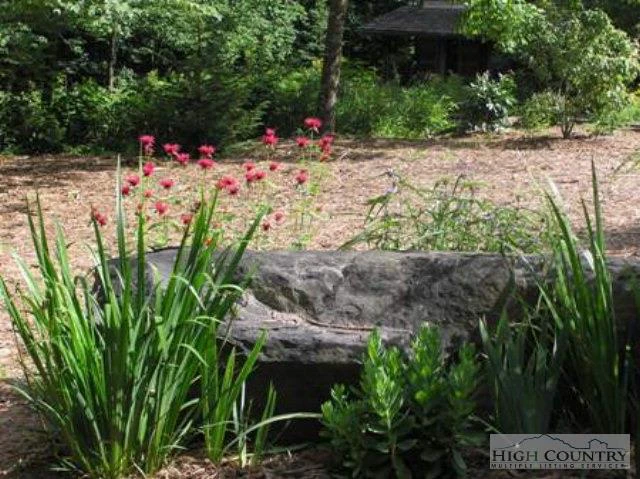 Image number 11 for the current listing