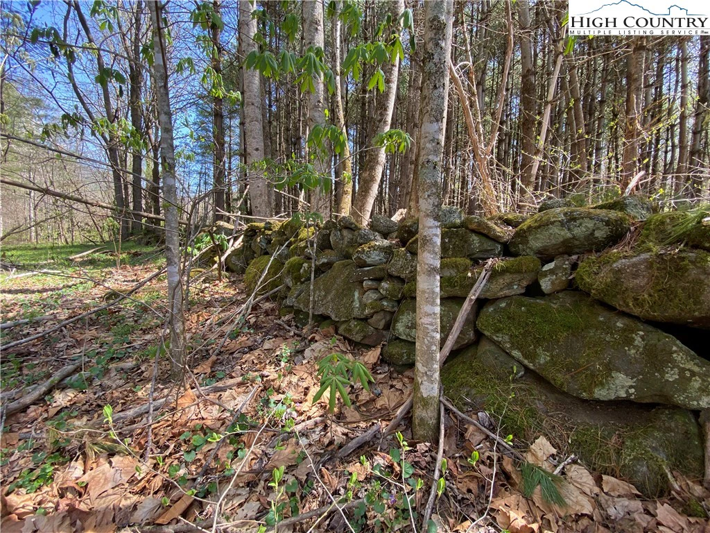 Image number 1 for the current listing