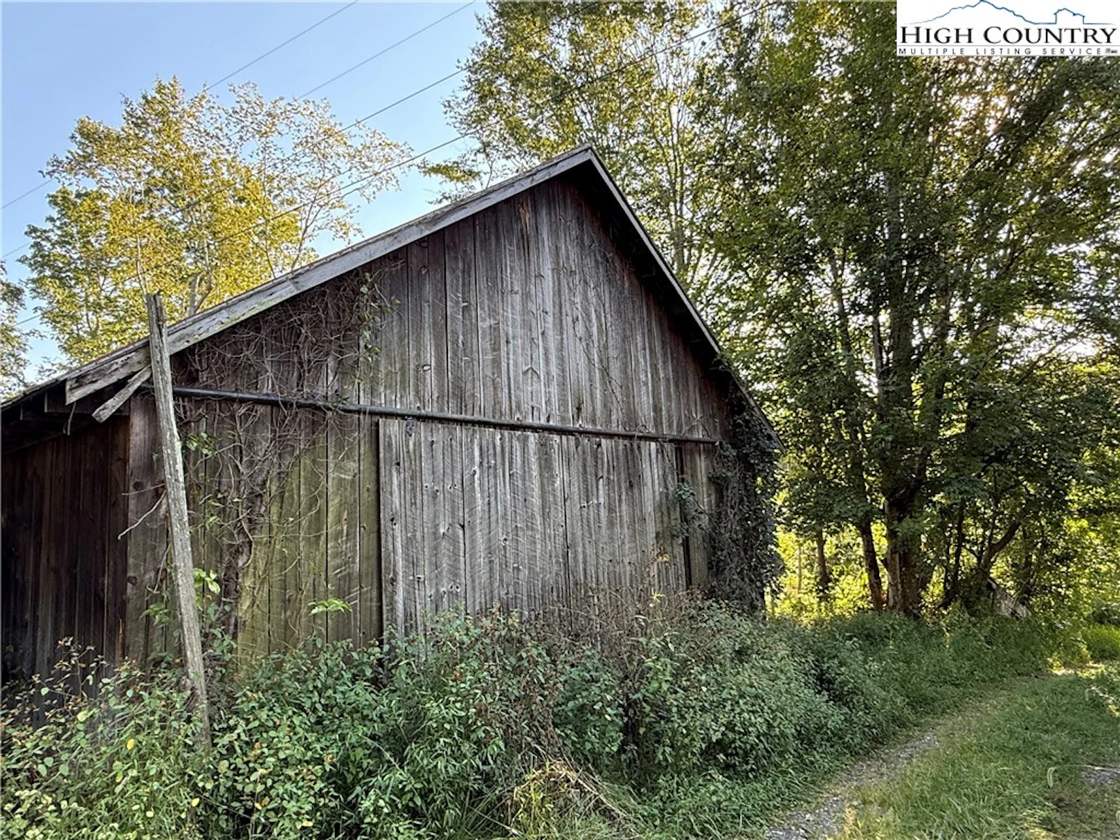 Image number 5 for the current listing