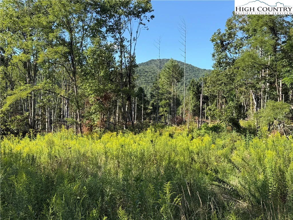 Image number 6 for the current listing
